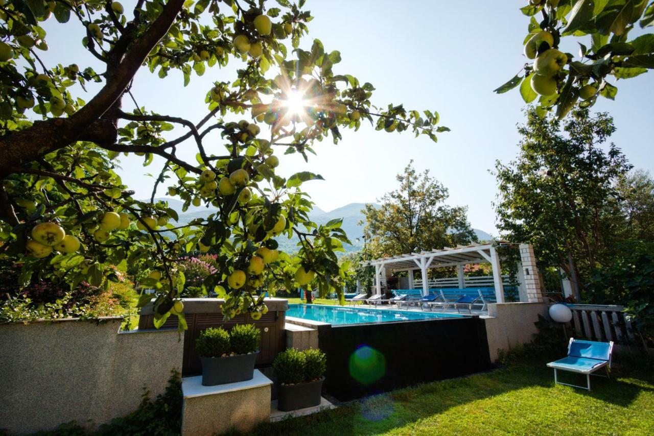 Apartmani Novakovic Kotor Ngoại thất bức ảnh